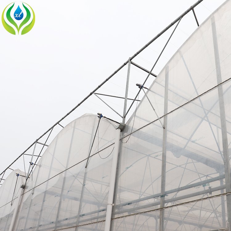 MYXL high tunnel agriculture greenhouse growing systems hydroponic greenhouse low cost for outdoor