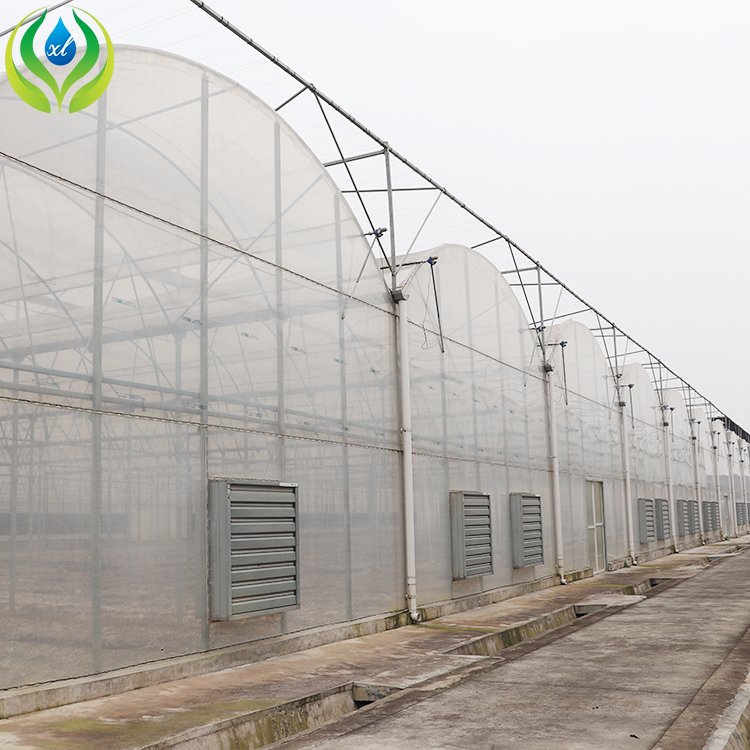 MYXL high tunnel agriculture greenhouse growing systems hydroponic greenhouse low cost for outdoor