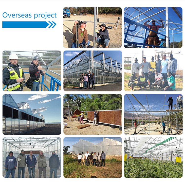 MYXL high tunnel agriculture greenhouse growing systems hydroponic greenhouse low cost for outdoor