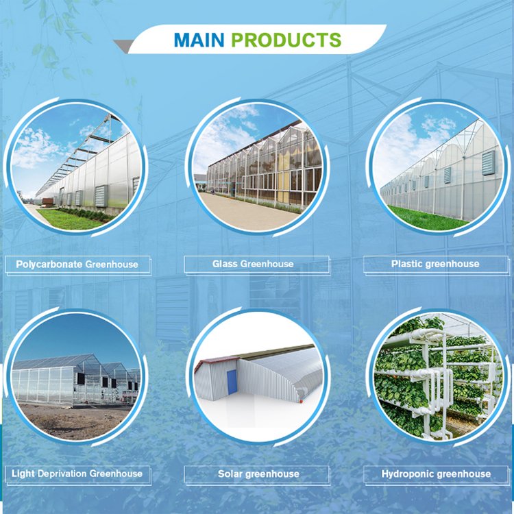 MYXL high tunnel agriculture greenhouse growing systems hydroponic greenhouse low cost for outdoor
