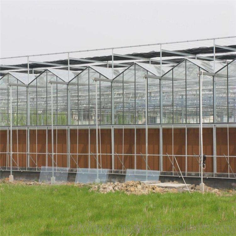 Hot Sale Hydroponic Multi-Span glass Agricultural Greenhouse For Fruit Growing