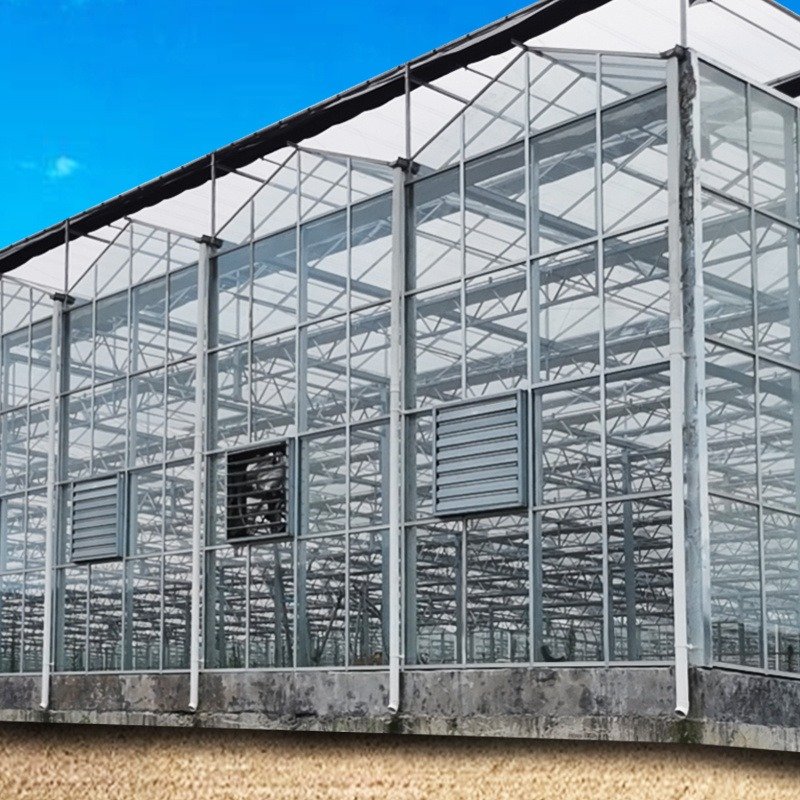 Hot Sale Hydroponic Multi-Span glass Agricultural Greenhouse For Fruit Growing