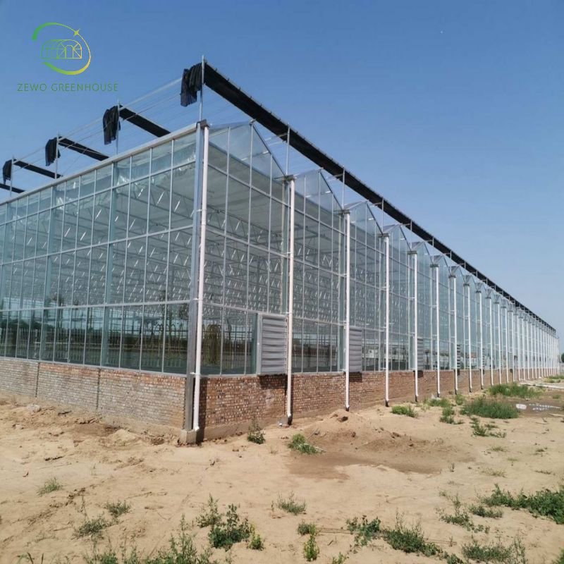 Hot Sale Hydroponic Multi-Span glass Agricultural Greenhouse For Fruit Growing