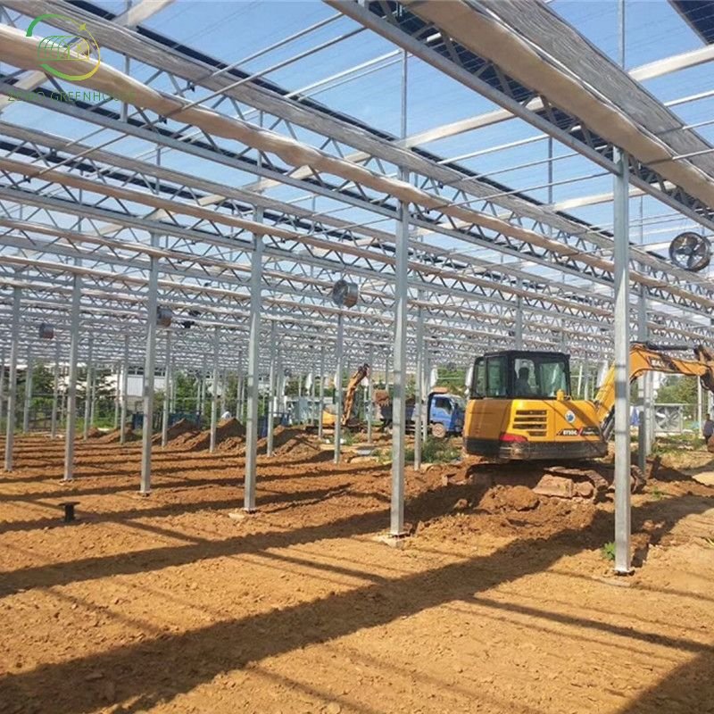 Hot Sale Hydroponic Multi-Span glass Agricultural Greenhouse For Fruit Growing
