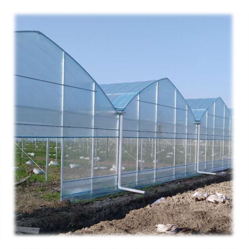 Multi-span agricultural greenhouse for vegetable glass greenhouse with external sunshade
