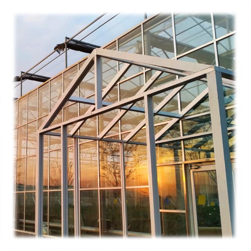 Multi-span agricultural greenhouse for vegetable glass greenhouse with external sunshade