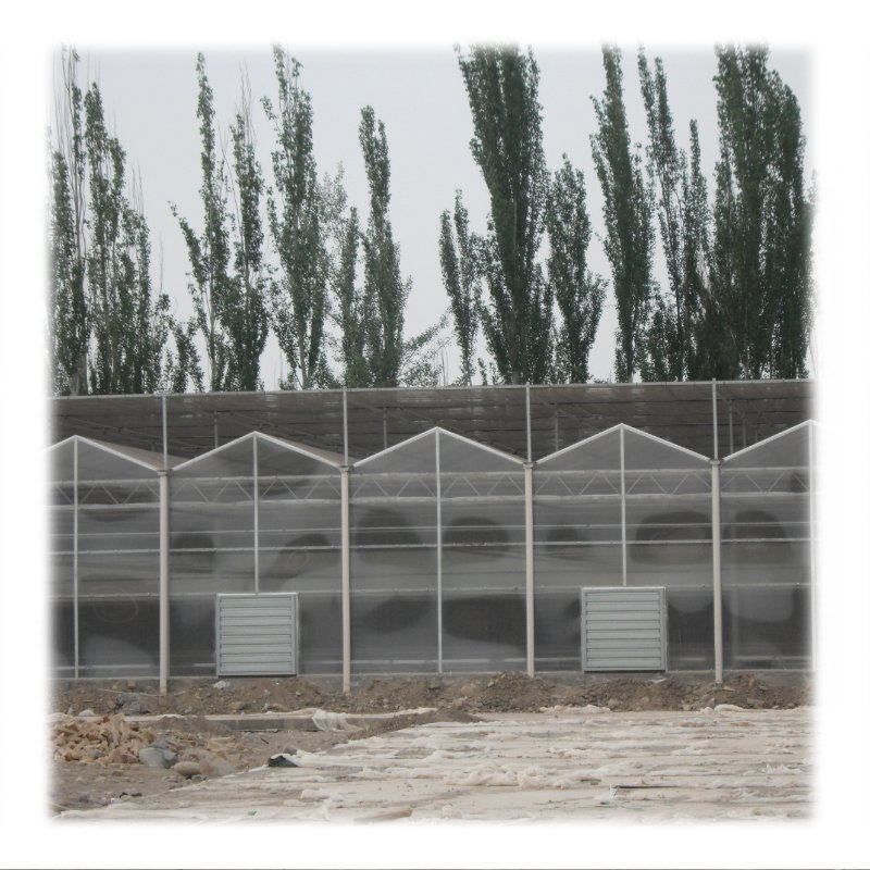 Multi-span agricultural greenhouse for vegetable glass greenhouse with external sunshade