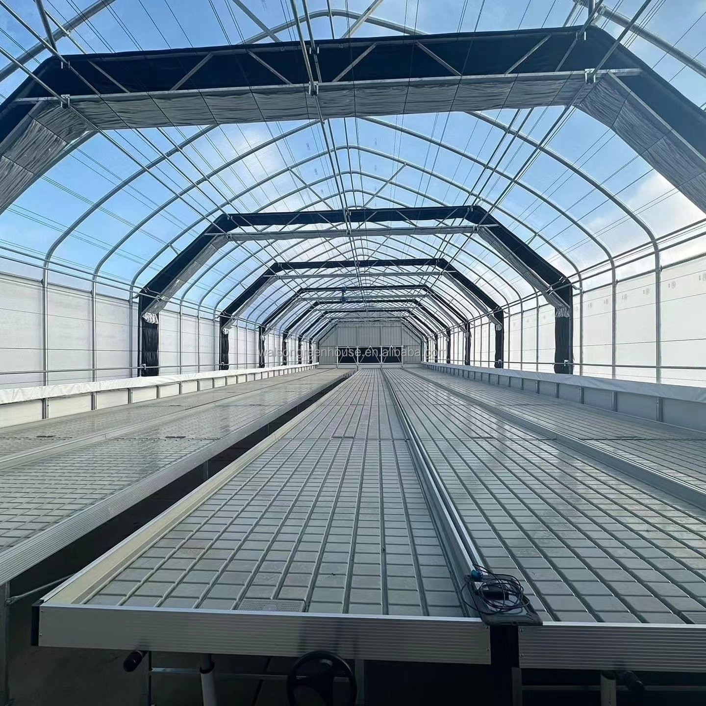 Medical Plants Fully Automated 100% Blackout Greenhouse Light Deprivation Greenhouse