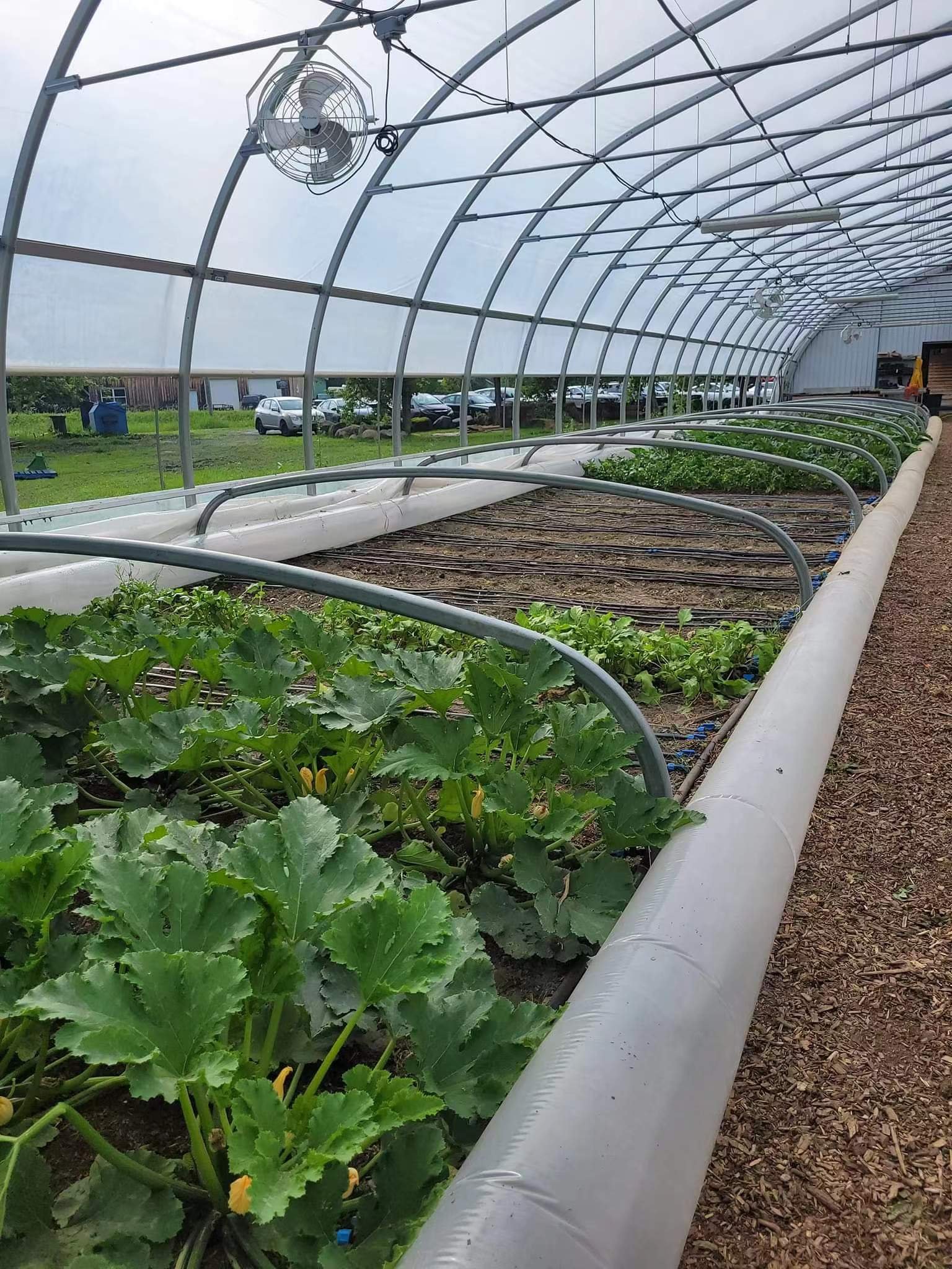 Low Cost Agricultural Greenhouse For Sale/tower Garden/aeroponics Tower