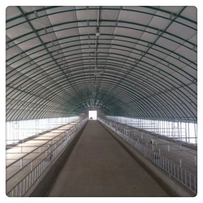 Hot Selling Single Layer Large Agricultural Greenhouse for Poultry Breeding PE Film Plastic with Steel Frame Square Pattern