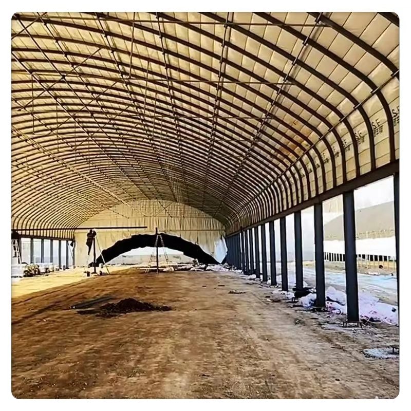 Hot Selling Single Layer Large Agricultural Greenhouse for Poultry Breeding PE Film Plastic with Steel Frame Square Pattern