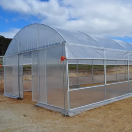 Galvanized steel Frame Single span PE Film hydroponic greenhouse for Agriculture Garden Gothic Poly Tunnel greenhouse