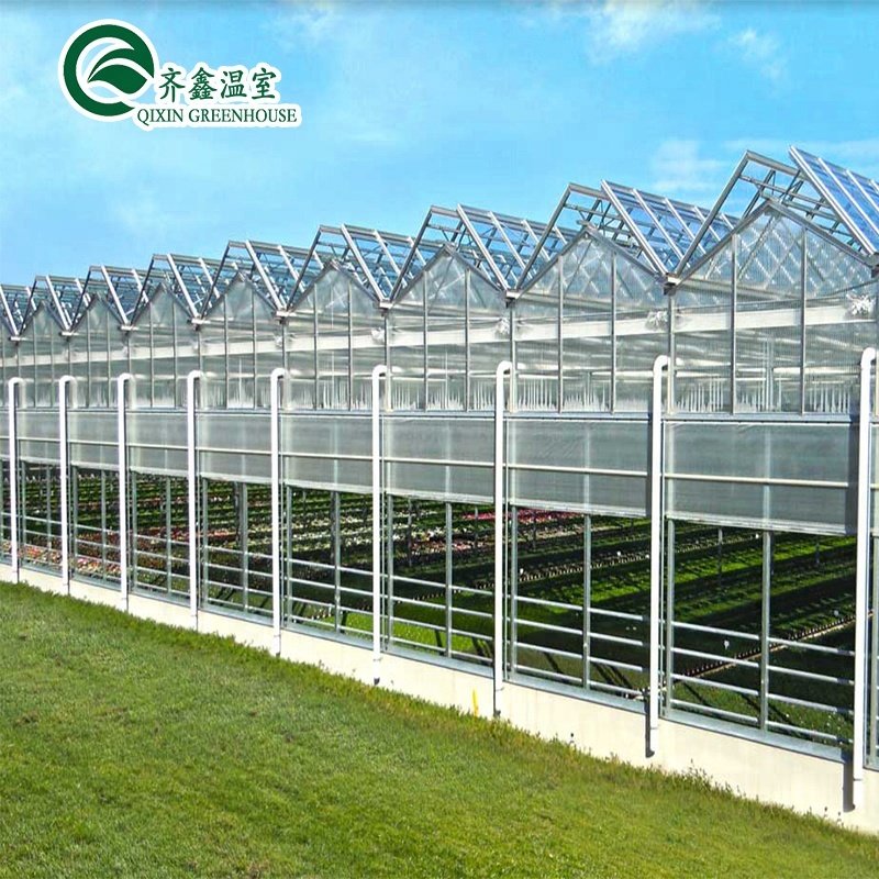 Good pervious to light Greenhouse for agricultural greenhouses Hot dip galvanized skeleton
