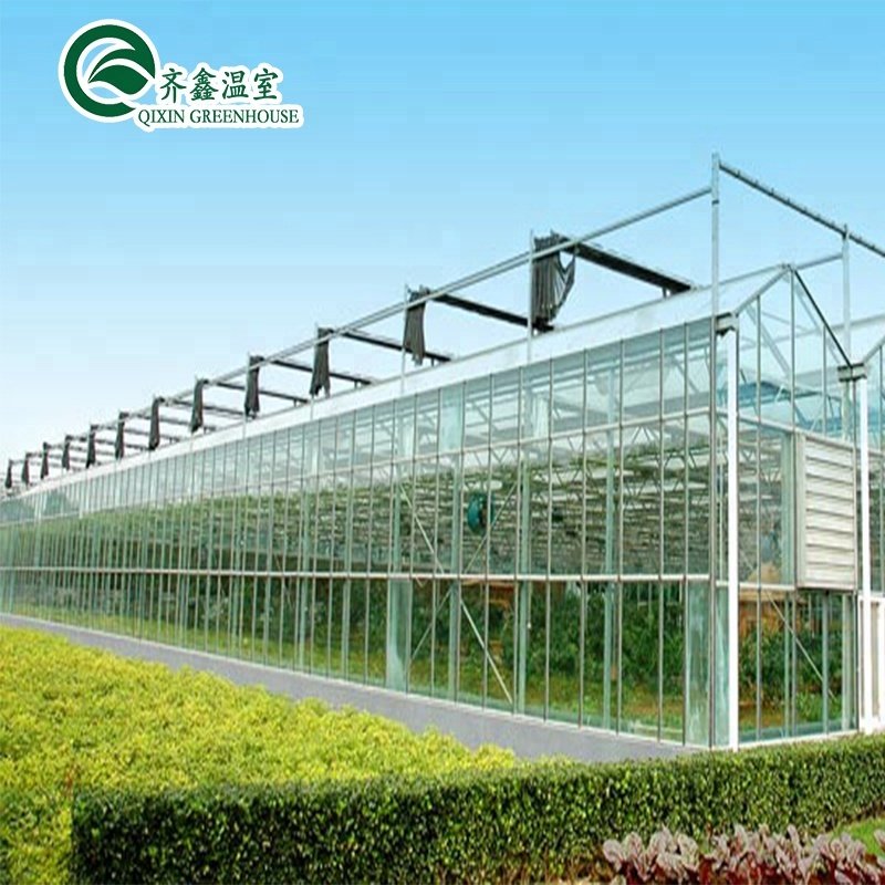 Good pervious to light Greenhouse for agricultural greenhouses Hot dip galvanized skeleton