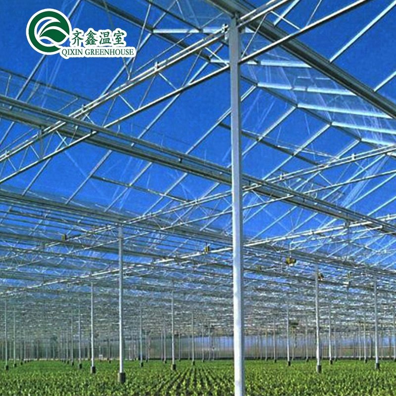 Good pervious to light Greenhouse for agricultural greenhouses Hot dip galvanized skeleton
