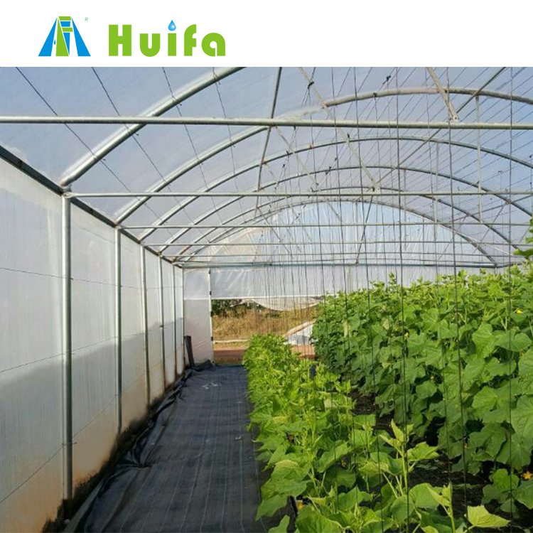 Commercial Agricultural Greenhouses Plastic Fabric Film Low Tunnel Greenhouse Film Tunnel Green House