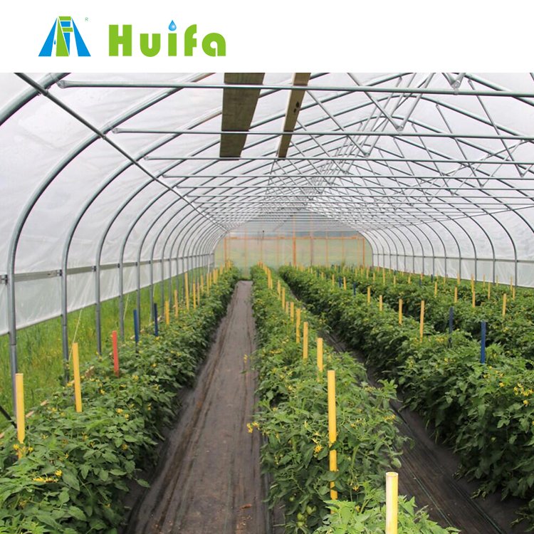 Commercial Agricultural Greenhouses Plastic Fabric Film Low Tunnel Greenhouse Film Tunnel Green House