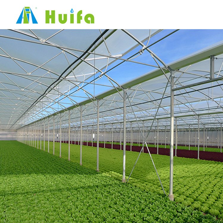 Commercial Agricultural Greenhouses Plastic Fabric Film Low Tunnel Greenhouse Film Tunnel Green House