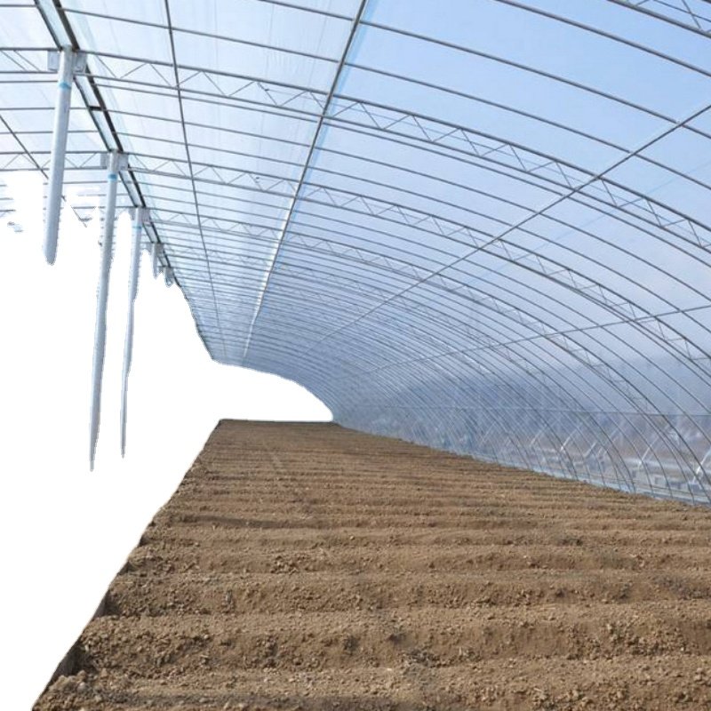Home garden green house agricultural greenhouse manufacturing back yard greenhouse Flower greenhouse