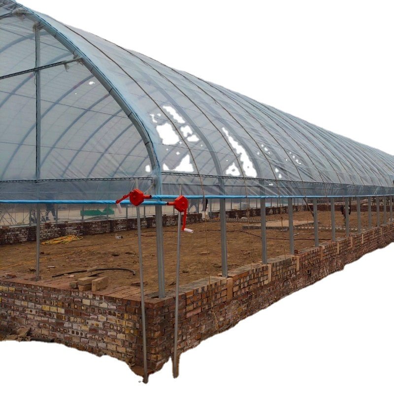 Home garden green house agricultural greenhouse manufacturing back yard greenhouse Flower greenhouse