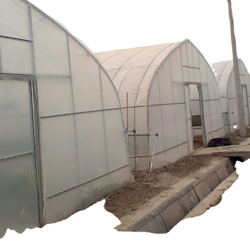 Home garden green house agricultural greenhouse manufacturing back yard greenhouse Flower greenhouse