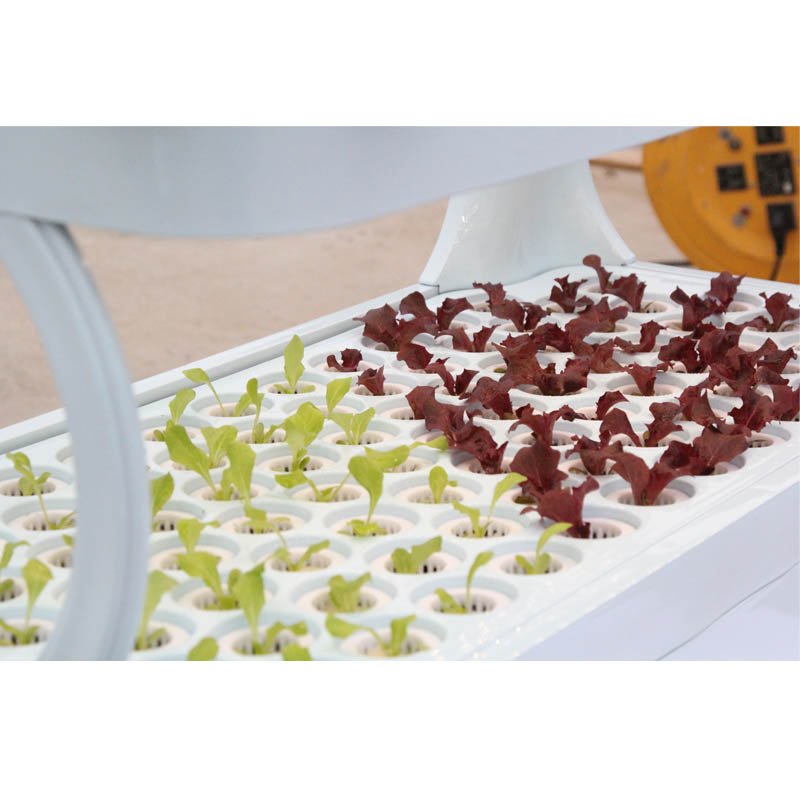 Indoor Growing System Agricultural Greenhouse Vertical Hydroponic Tower for Growing Lettuce