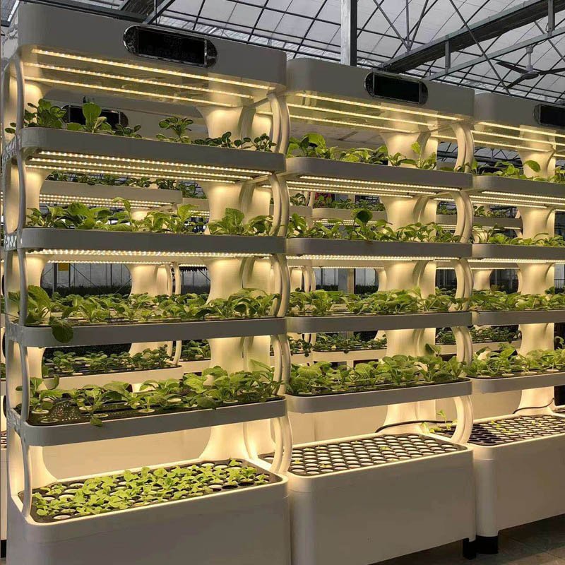 Indoor Growing System Agricultural Greenhouse Vertical Hydroponic Tower for Growing Lettuce