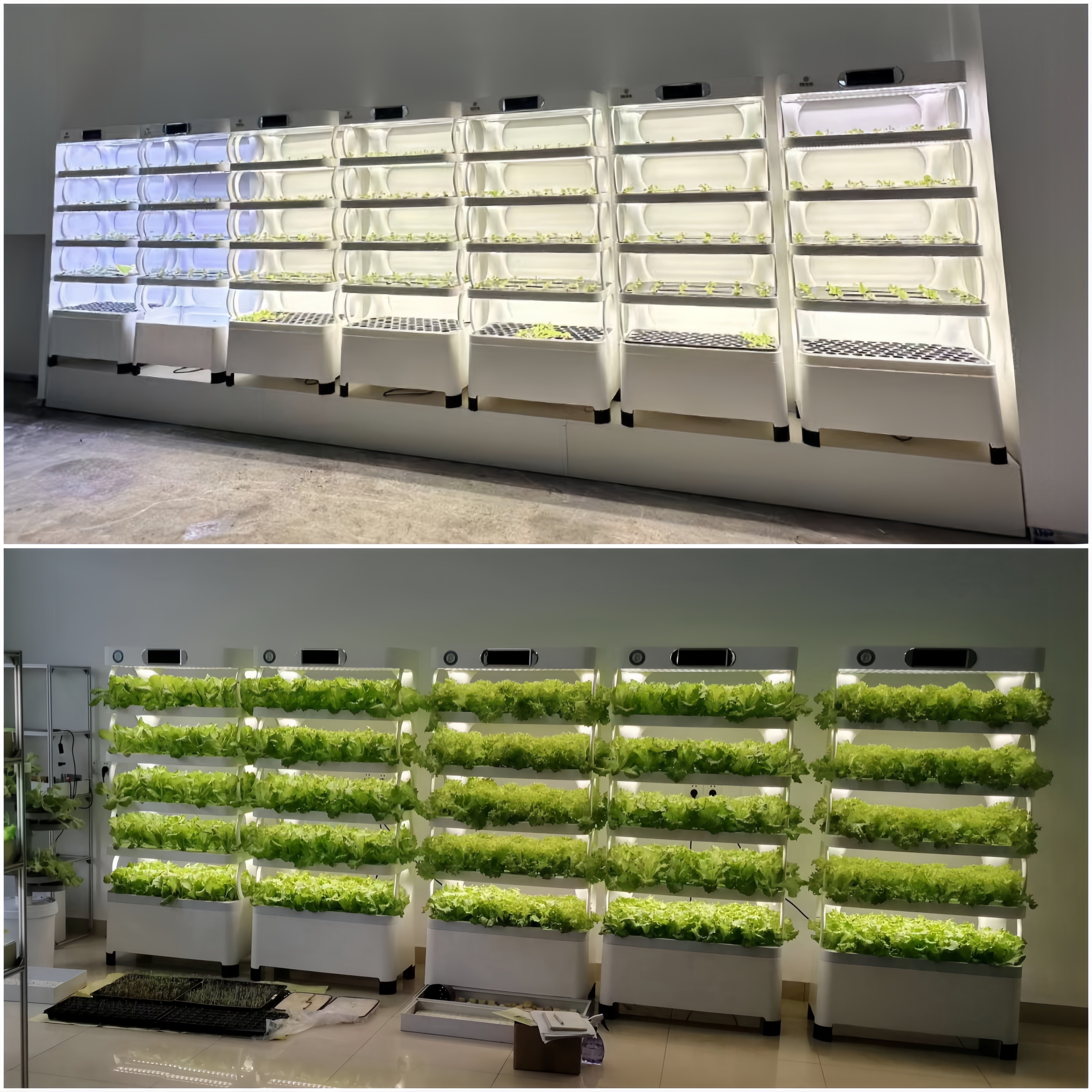 Indoor Growing System Agricultural Greenhouse Vertical Hydroponic Tower for Growing Lettuce
