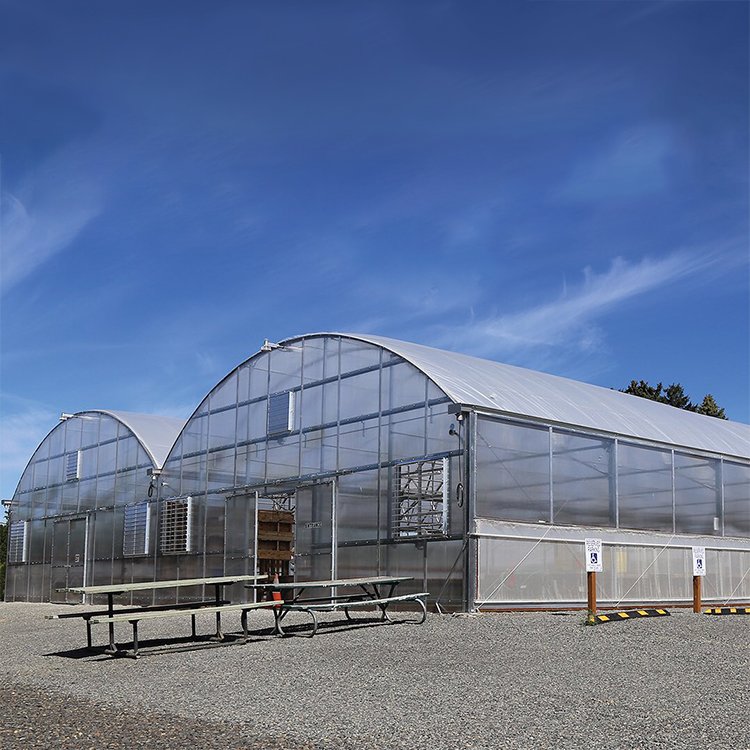 Baolida PC round roof green house vegetable victorian polycarbonate flowers greenhouse