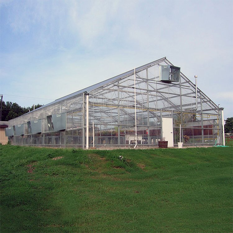 Baolida PC round roof green house vegetable victorian polycarbonate flowers greenhouse