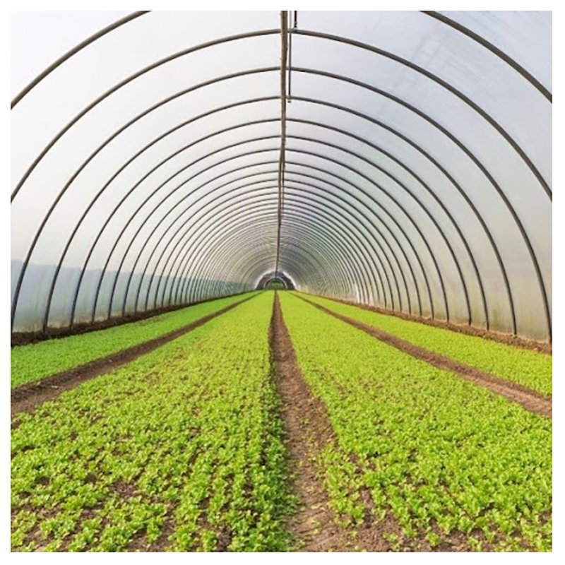 High Tunnel Walk-In Hydroponic Greenhouse Garden Equipment with Foil Greenhouses