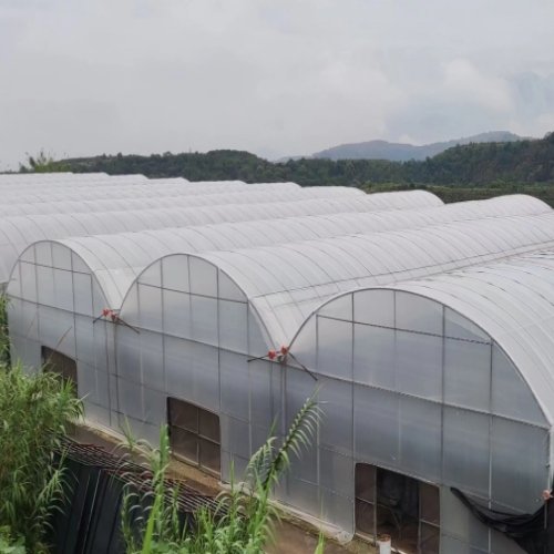Agricultural multi-span arch plastic film PC sheet Greenhouse