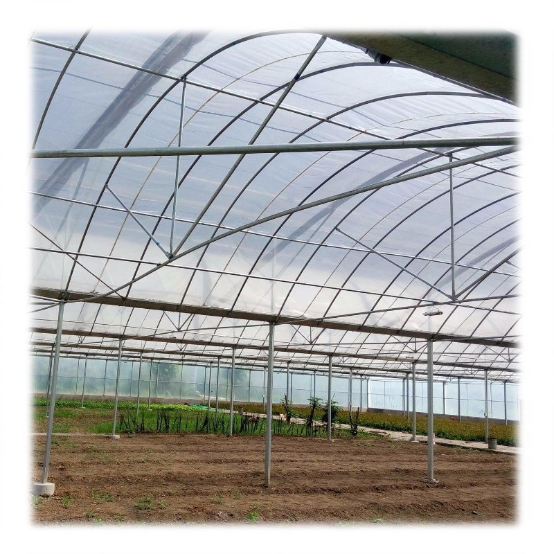 Plastic farming commercial span pe film greenhouse for agriculture low cost