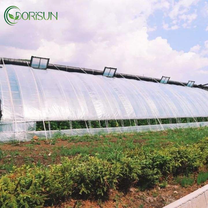 30x96m Smart Agricultural greenhouse tunnel planting Hydroponic System greenhouse frame structure greenhouse