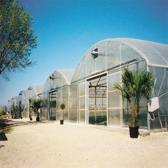Hot Sale Agriculture Poly Film Tunnel Commercial Polycarbonate Covering Greenhouse