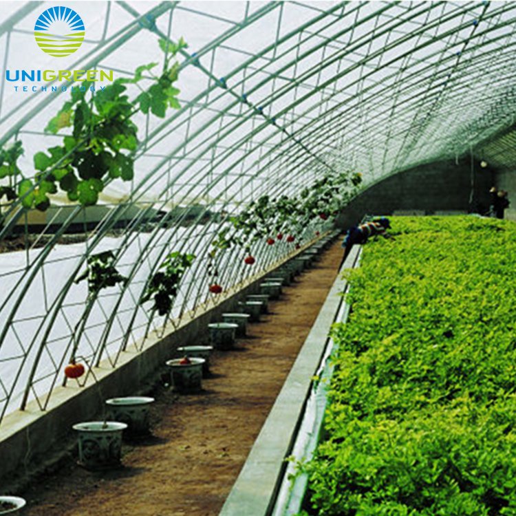Hot Sale Agriculture Poly Film Tunnel Commercial Polycarbonate Covering Greenhouse