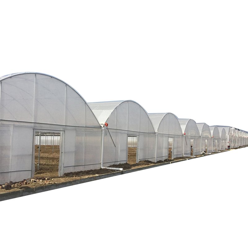 Hot-dip galvanized steel frame greenhouse multi-span high tunnel film greenhouse with hydroponic system