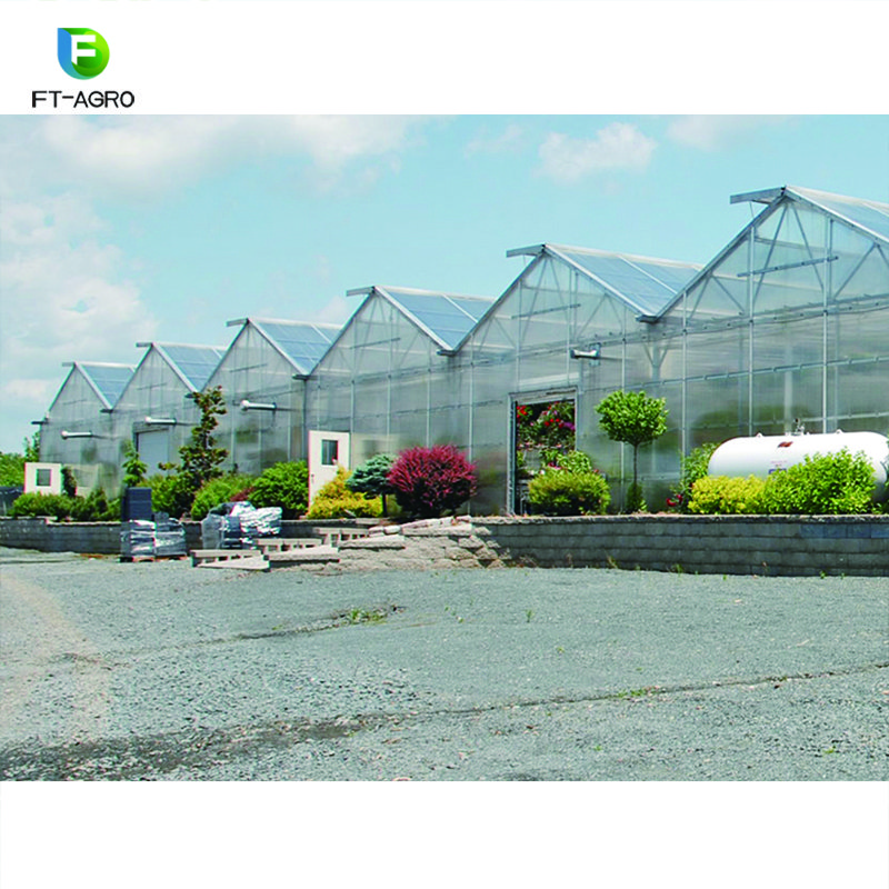 Modern agricultural technology large pc sheet agricultural greenhouses