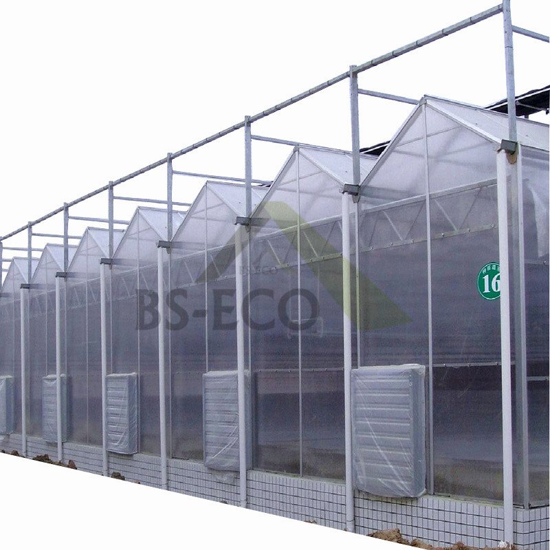 Modern agricultural technology large pc sheet agricultural greenhouses