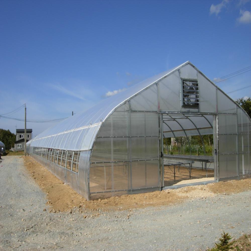 Low Cost Single-span Agriculture Greenhouse Plastic Film Tunnel Greenhouse for Sale