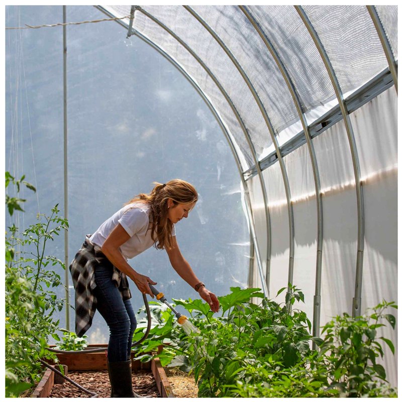 Low Cost Tunnel Greenhouse Galvanized Steel Frame Single Span Pe Film Greenhouse For Agriculture Flowers Plant