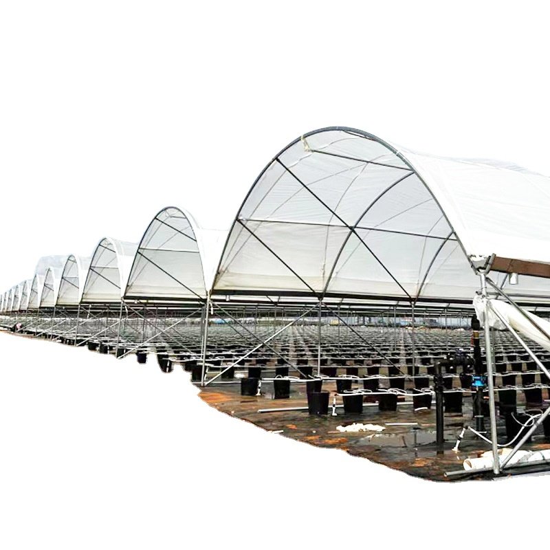 Frame Agriculture Greenhouse Tunnel Blueberry Greenhouse with Strong Load-bearing Transparent Hot-dip Galvanized Steel Fruit