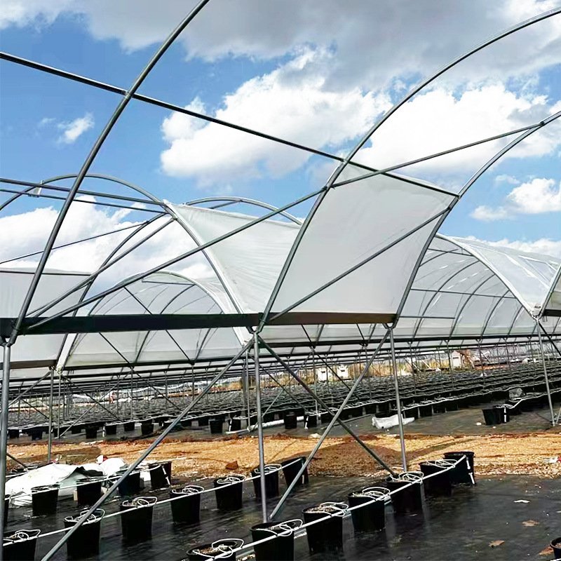 Frame Agriculture Greenhouse Tunnel Blueberry Greenhouse with Strong Load-bearing Transparent Hot-dip Galvanized Steel Fruit