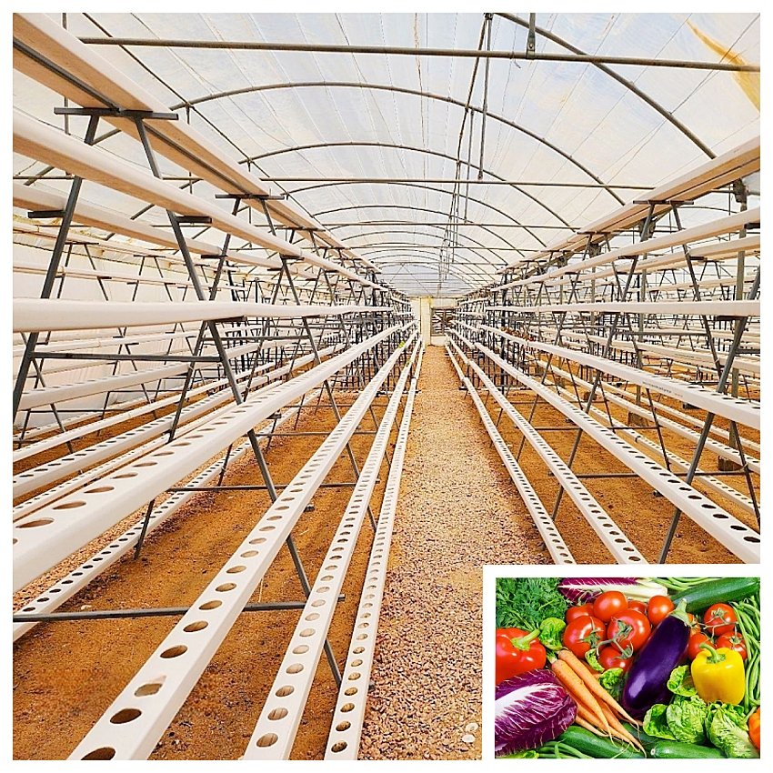 Wholesale Complete Hydroponic Gutter Greenhouse Hydroponic A-Frame Vertical NFT System For Agriculture