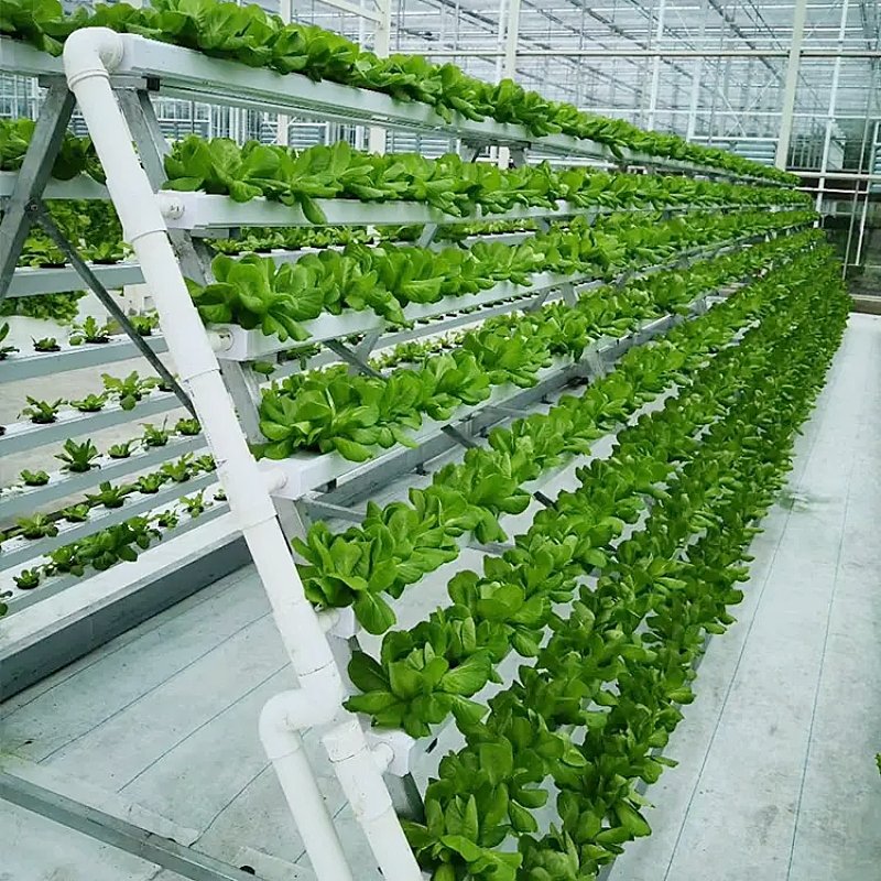 Wholesale Complete Hydroponic Gutter Greenhouse Hydroponic A-Frame Vertical NFT System For Agriculture