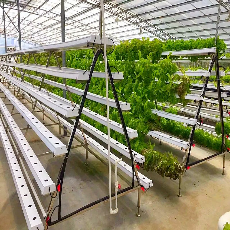 Wholesale Complete Hydroponic Gutter Greenhouse Hydroponic A-Frame Vertical NFT System For Agriculture