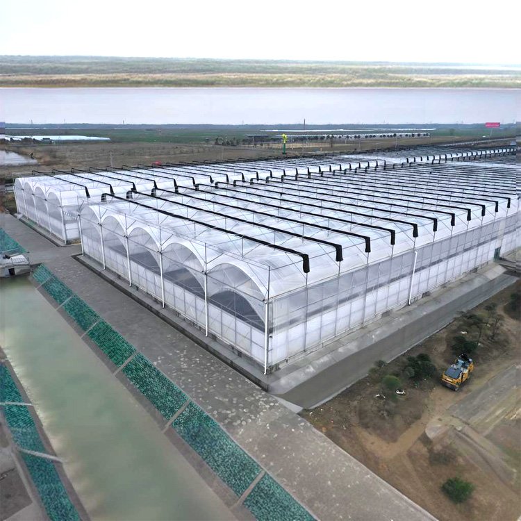 China Manufacturer Greenhouse Plastic Sheet Cover Agricultural Greenhouse Film with Algae-Proof Effect
