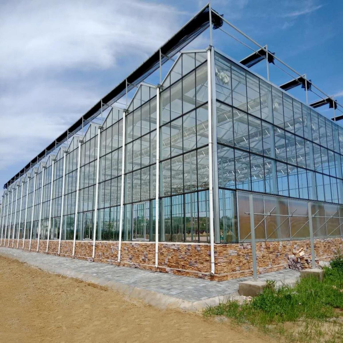 Agricultural Intelligent Holland Greenhouse Glass Agriculture Vegetable Greenhouse for Tomatoes Cucumber Lettuce