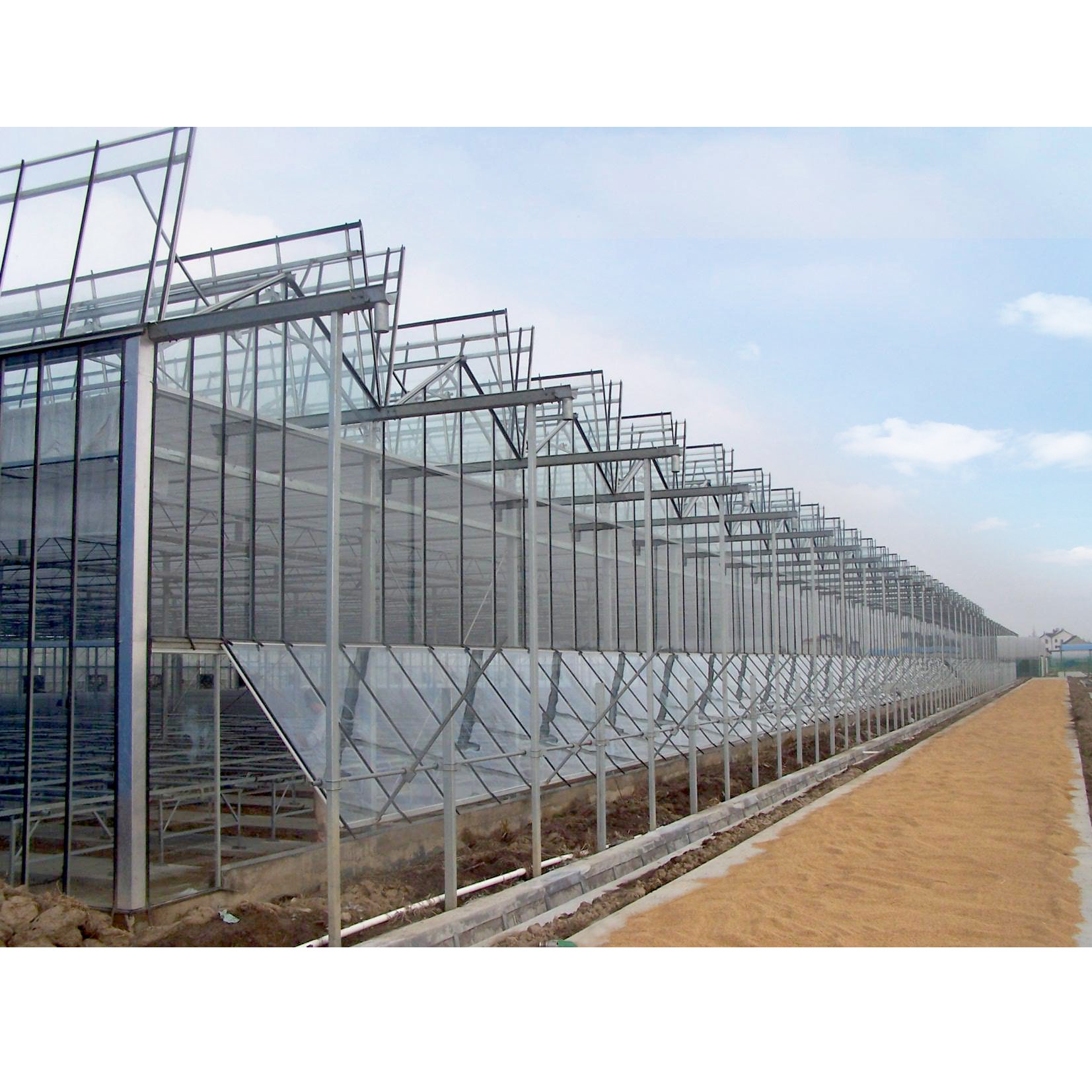 Agricultural Intelligent Holland Greenhouse Glass Agriculture Vegetable Greenhouse for Tomatoes Cucumber Lettuce