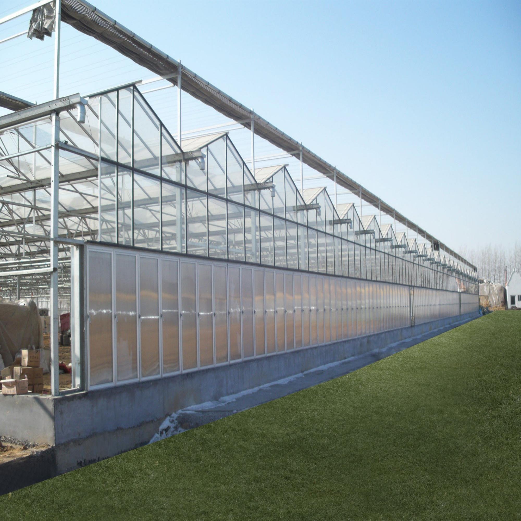 Agricultural Intelligent Holland Greenhouse Glass Agriculture Vegetable Greenhouse for Tomatoes Cucumber Lettuce